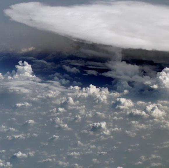 Meet your Posher, Chris - Picture 1 of 1